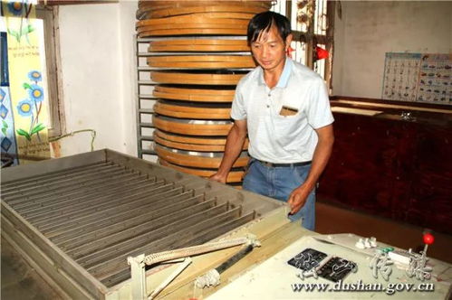 大山深處黨旗紅 黨建引領(lǐng)下的茶葉加工產(chǎn)業(yè)振興之路