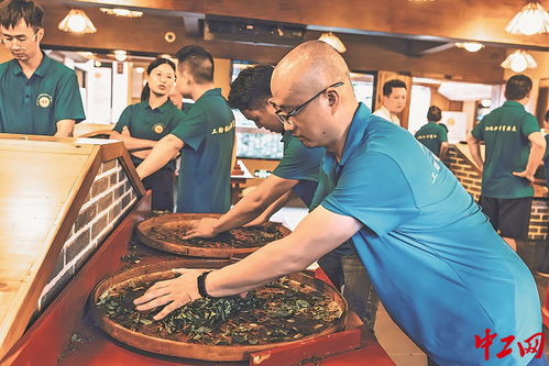 茶香四溢 福建武夷山茶葉加工工職業(yè)技能競賽成功舉辦