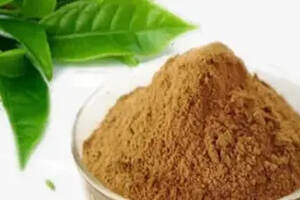 茶葉深加工 從傳統飲品到多元化產品的創新之旅