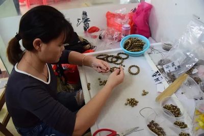 茂名沙垌村 以“一棵樹”為媒，茶香沉香共譜富民曲